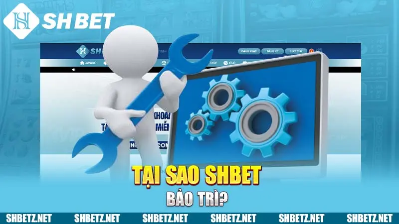 Tại sao SHBET bảo trì?