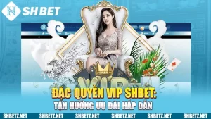 Đặc Quyền VIP SHBET: Tận Hưởng Ưu Đãi Hấp Dẫn